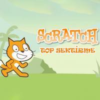 Scratch Top Sektirme Örnek Uygulaması