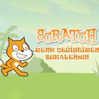 Scratch Renk Değiştirme Bukalemun Uygulaması